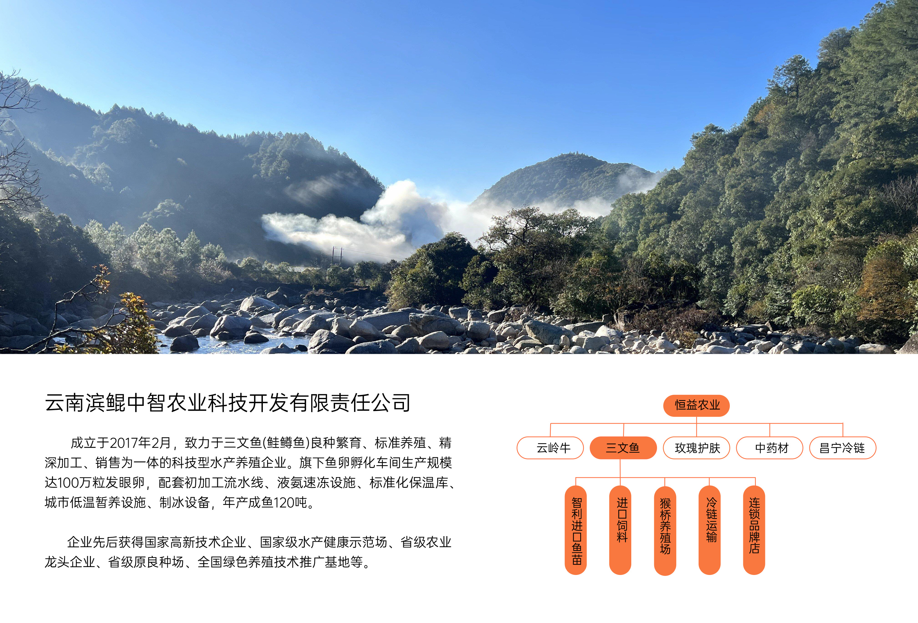 企业概况与全产业链