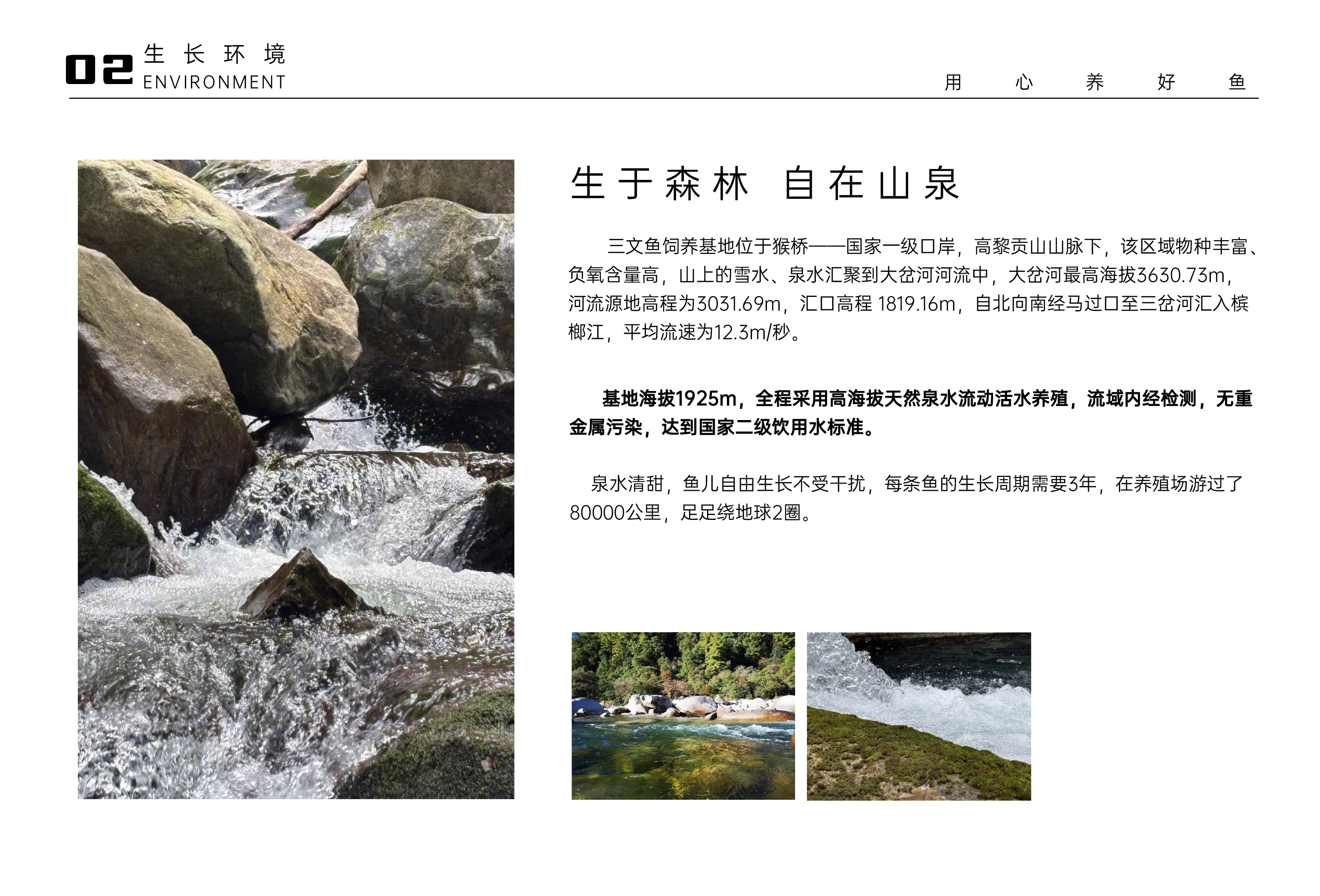生长环境 · 生于森林 自在山泉