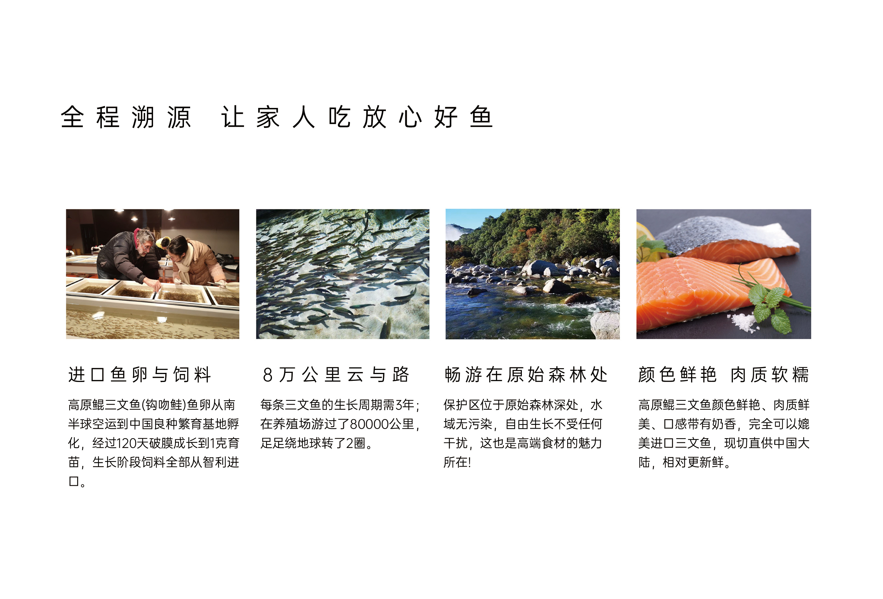 全程溯源 · 从鱼卵到餐桌