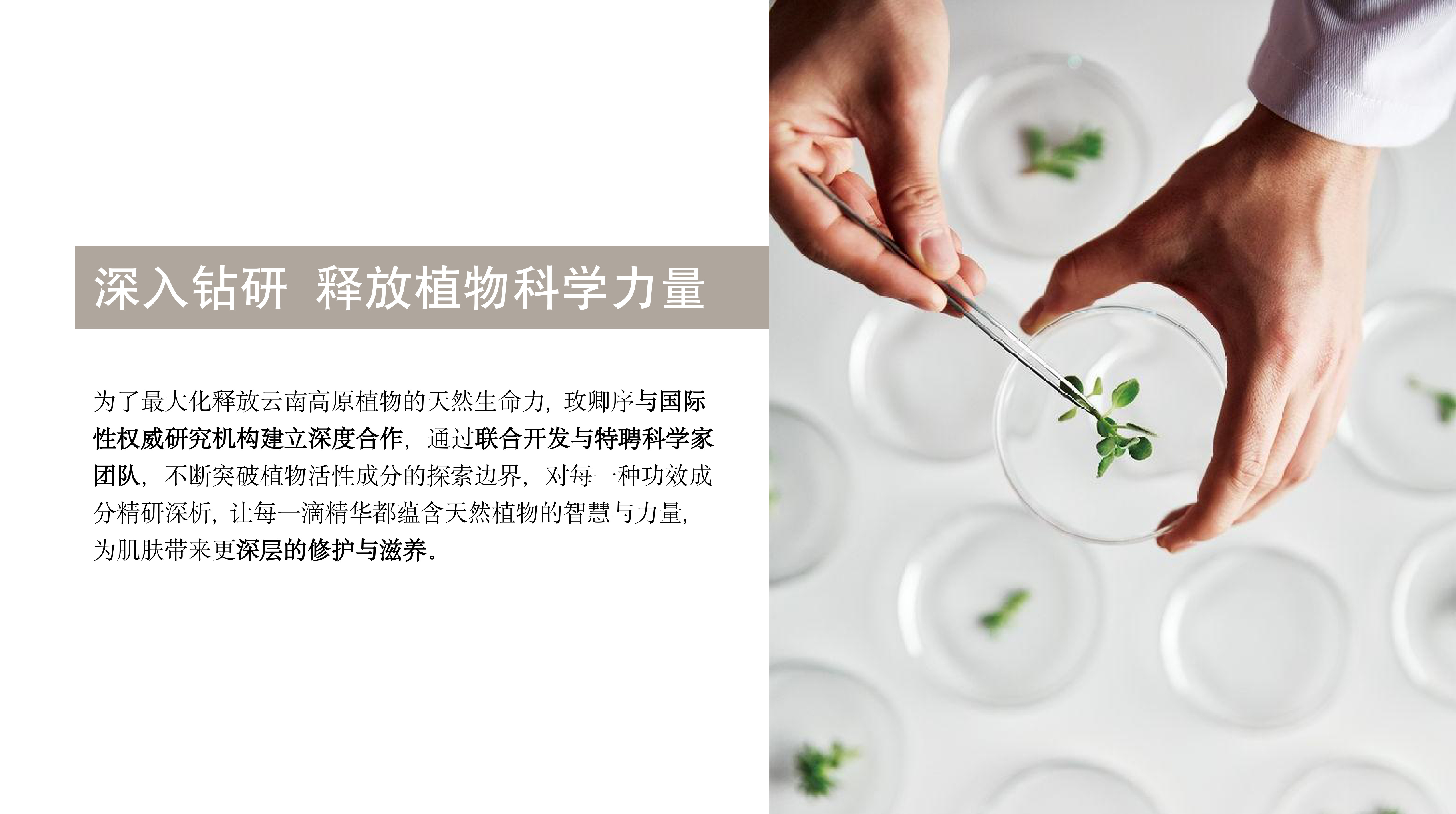 千亩名贵中药材种植基地